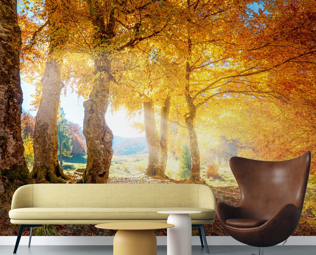 Yellow Autumn Leaves Forest Wall Murals